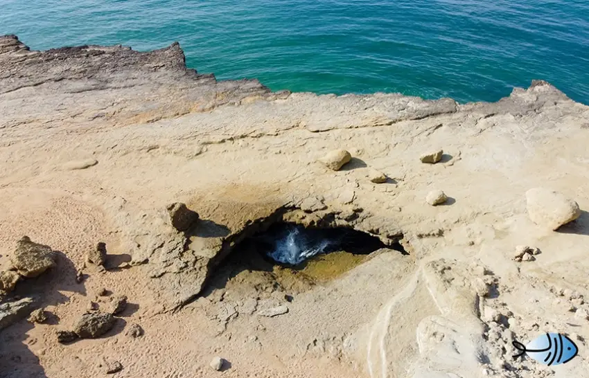بندر پزم؛ مقصدی نو برای گردشگری پایدار در ایران