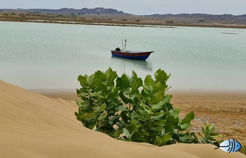 بندر تنگ چابهار؛ روستای ساحلی در کنار دریای عمان