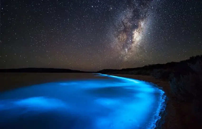 ساحل پلانکتون و شب‌تاب چابهار؛ سواحل نورانی جنوب ایران